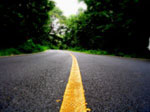 The road through the woods